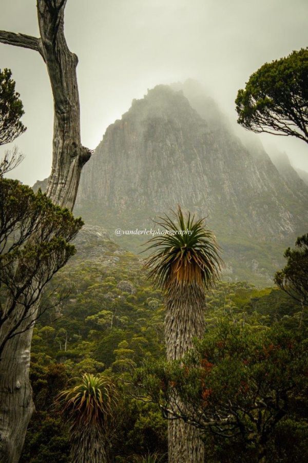 Autumn Cradle Mountain 10 Pack Electronic Wallpapers